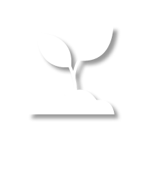 Usos del suelo