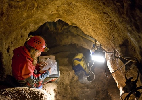 Atapuerca Celebra Online Sus Anos Como Patrimonio De La Humanidad Amc Santiago